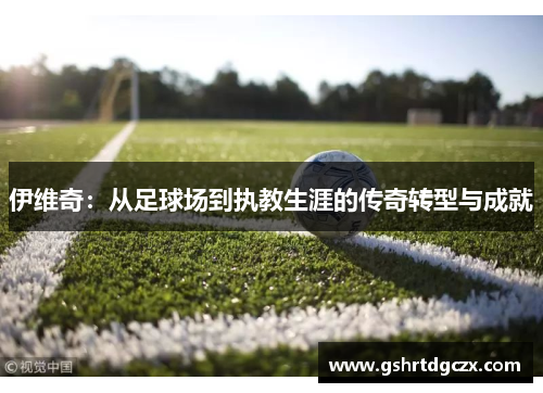 伊维奇：从足球场到执教生涯的传奇转型与成就