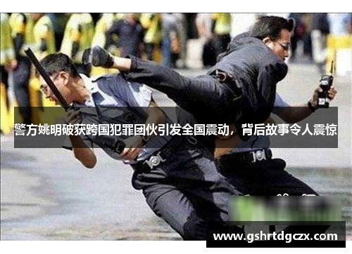警方姚明破获跨国犯罪团伙引发全国震动，背后故事令人震惊