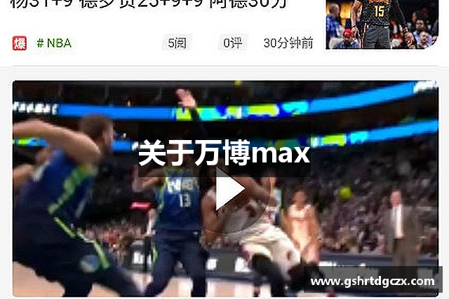 关于万博max